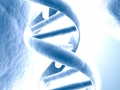 DNA