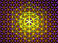FOL and Metatrons Cube Art